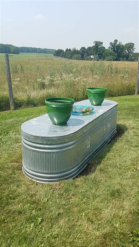 Around the bottom of the base of the birdbath, i have a few rocks surrounding it. Water tank turned over to cover septic tank covers! Super ...