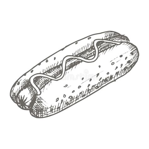 Vector Vintage Hot Dog Drawing Hand Drawn Monochrome Fast Food