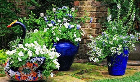 Porcelain vases look very stylish due to the texture they have. Create the Perfect 4th of July Planter! | Winterberry Gardens