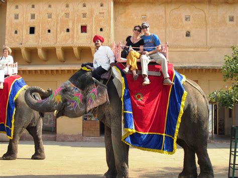 Top 10 Activities To Do In Rajasthan Things To Do Adventure