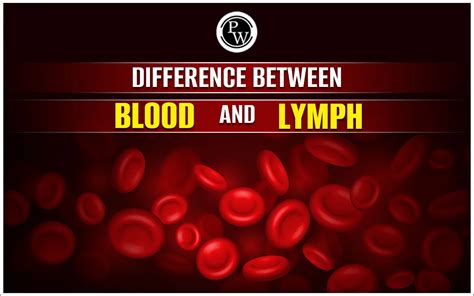 Difference Between Blood And Lymph Functions And Composition
