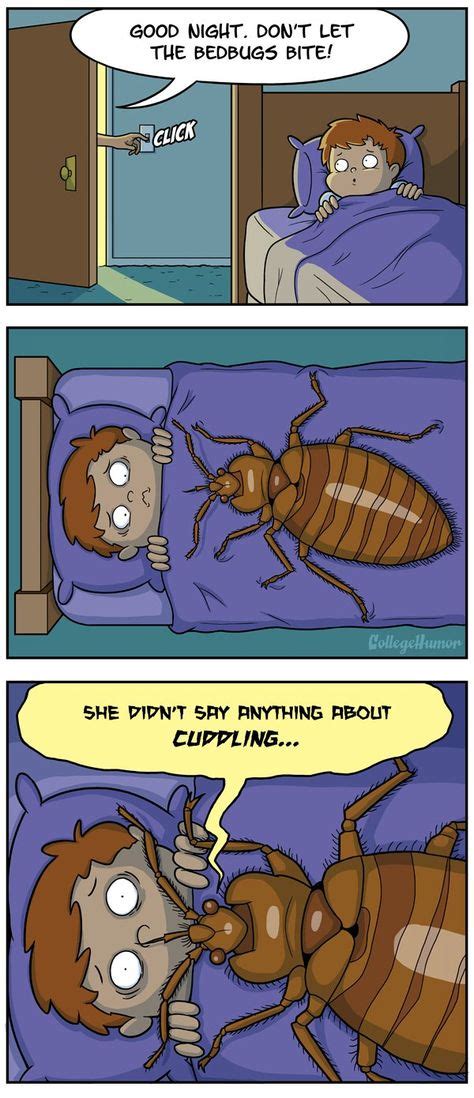 53 Bug Funnies Ideas Humor Bones Funny Funny Pictures
