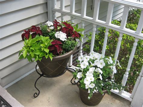 My Front Porch Flower Pots Assorted Annuals Gardens