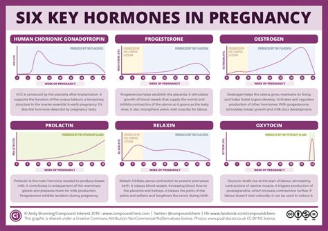 Compound Interest Six Key Pregnancy Hormones And Their Roles