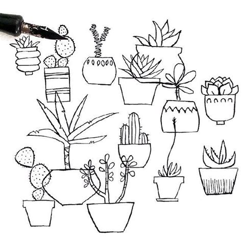 Plant and succulents, potted ceramic cartoon doodle line set. Image result for how to draw a succulent (With images ...