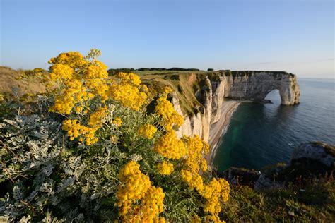 If you need more advanced features like visual cropping, resizing or applying. Nikon D800 Sample Photos Are Mind Blowing