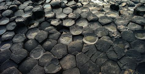 Nature's pentagons | Flickr - Photo Sharing!
