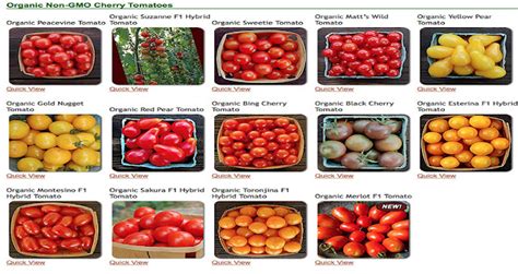 Different Types Of Tomato Varieties