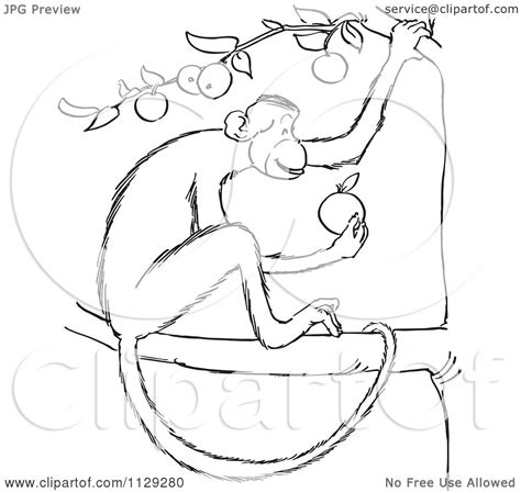 Howler monkey sitting on a tree coloring page. Cartoon Clipart Of An Outlined Monkey Eating In An Apple ...