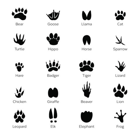 Awesomely Cute Paw Print Clip Art Designs Youll Instantly Love