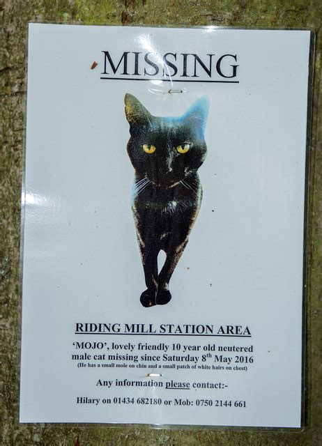 You won't have to resize and crop them. Lost cat poster - Riding Mill © The Carlisle Kid cc-by-sa ...