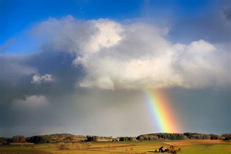Pronóstico, pronóstico del tiempo, pronosticó, contra todo pronóstico. Pronóstico del clima en alemán, todo el vocabulario que deberías conocer