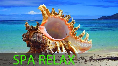 6 Hour Best Relaxing Spa Music Background Music Soothing