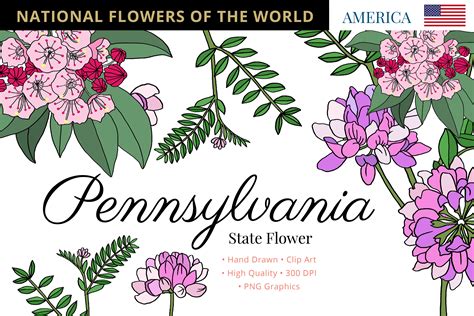 Pennsylvania State Flower Graphic By Hanatist Studio · Creative Fabrica