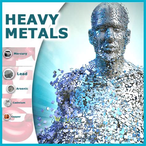 Examples Of Heavy Metals How Heavy Metals End Up In Your Food