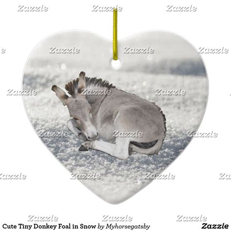 Cute Tiny Donkey Foal in Snow Christmas Ornament | Zazzle.co.uk | Cute donkey, Baby donkey, Foals