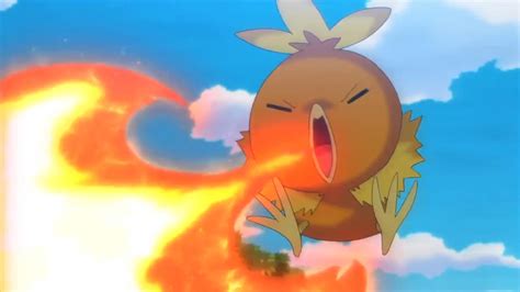 Image May Torchic Ember Game Png Pokémon Wiki Fandom Powered By Wikia