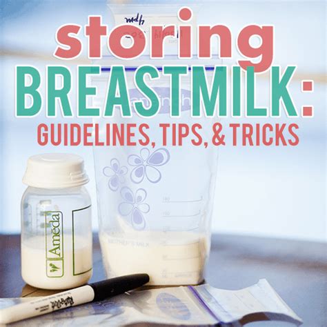 Hier vind je alle informatie. Storing Your Breastmilk: Guidelines, Tips, & Tricks ...
