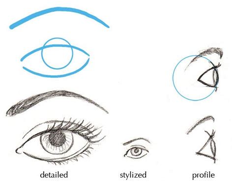 Human Anatomy Fundamentals Basics Of The Face Envato Tuts Design