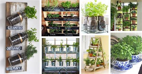 25 Best Herb Garden Ideas And Designs For 2023