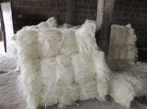 Sisal Fibers Natural Cellulose Leaf Fibers From Plants Or Vegetables