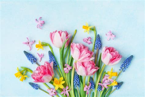 Spring Celebrations Around The World Readers Digest