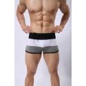 Men S Bodybuilding Underwear Fashion Summer Beach Striped Sunga
