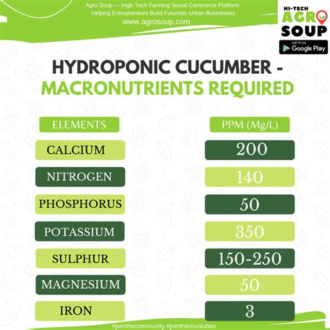Nutrient Required For Hydroponic Cucumber 🌿 Hi Tech Agro Soup