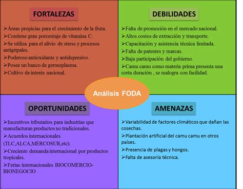 Cuadro Comparativo Fortalezas Y Debilidades Cuadro Comparativo De