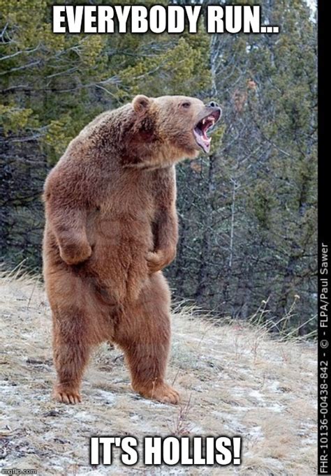 Angry Bear Imgflip