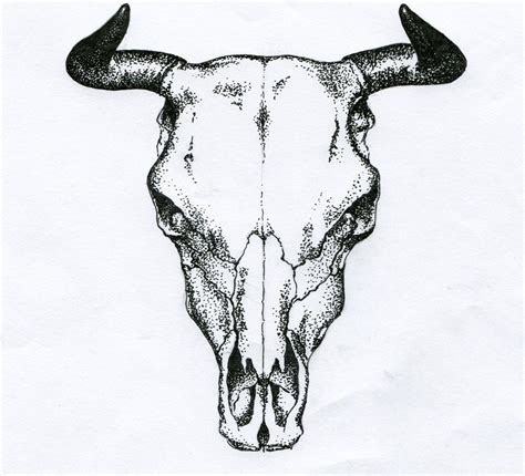 Bull Skull Bull Skull Tattoos Bull Tattoos Skull Drawing