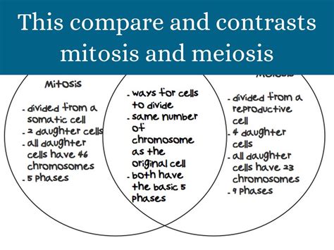 Difference Between Mitosis And Meiosis Flip Book Aslmy