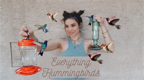 How quickly can you become tefl qualified and find a job? How to take care of Hummingbirds - YouTube