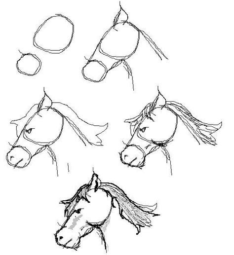 coloring pages horse coloring pages