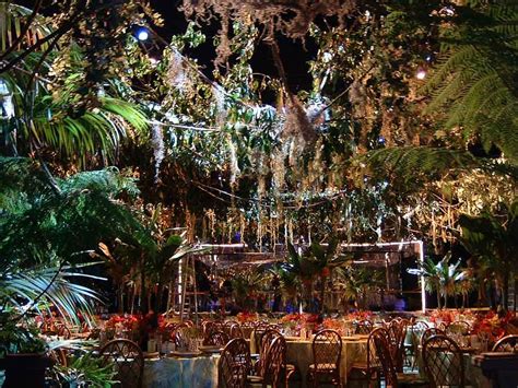 Maybe you would like to learn more about one of these? Rain forest theme | Rainforest theme, Jungle wedding ...