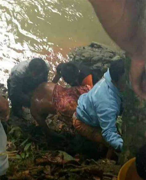 Mimpi buaya mungkin tampak berbahaya atau agresif. Heboh Buaya Antar mayat Manusia ke pinggir Sungai ...