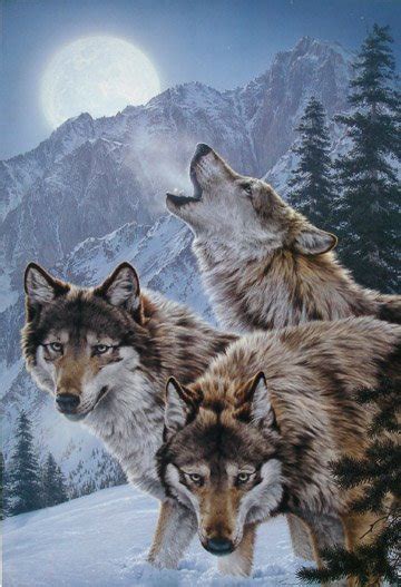 Wolf Paintings For Sale Art In Bulk