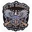 Patriotic American Eagle The 2nd Amendment Embroidered Biker Patch 