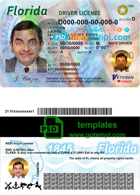 Usa Florida Driving License Template In Psd Format In 2021 Driving