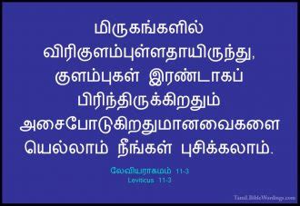 26 'any animal that has a split hoof but does not have a cleft and does not chew its cud is unclean to you. லேவியராகமம் 11 - Leviticus 11 - Holy Bible Tamil - Tamil ...