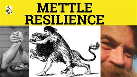 🔵 Resilience Or Mettle Resilient Meaning Mettle Examples