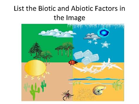 Lesson On Biotic And Abiotic Factors What Factors