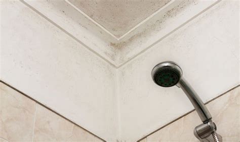 Property How To Avoid Damp In Your Bathroom Uk
