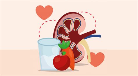 Maintaining Healthy Kidneys Senior Fitness And Food Tips For Kidney Health
