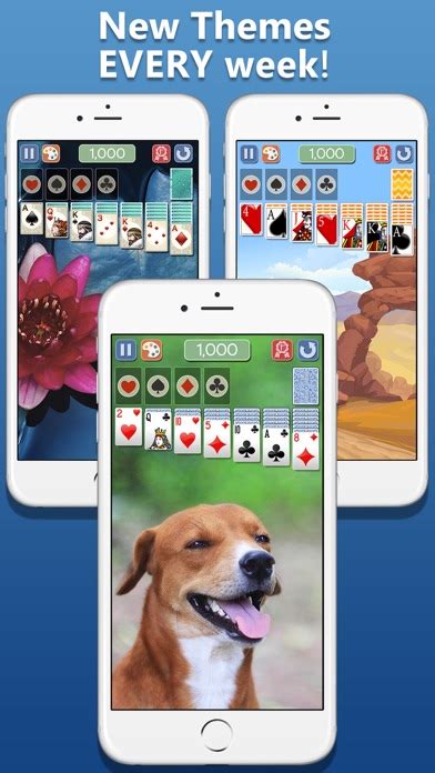 Solitaire Deluxe® 2 For Pc Free Game Download And Install Guide Windows