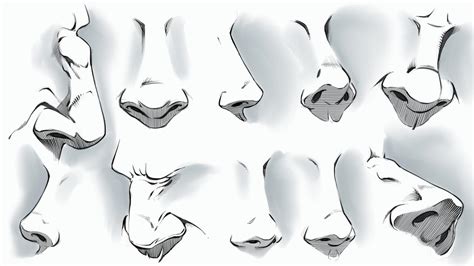 Comic Style Noses Various Angles By Robertmarzullo On Deviantart