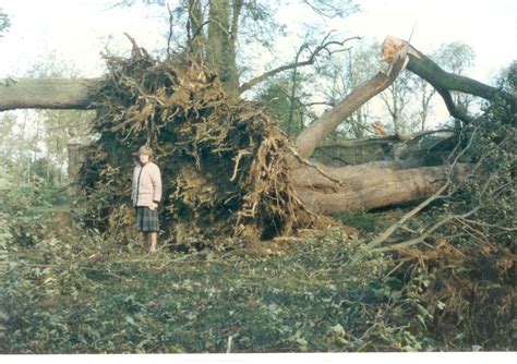 Photos Of The Great Storm Of 1987 As The Storm Ciara And Storm Dennis