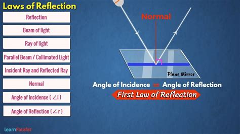 Reflection And Laws Of Reflection Light Class 7 Science Youtube