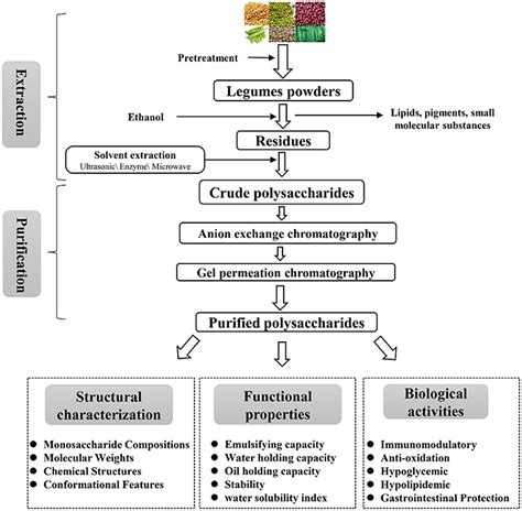 Frontiers A Review Of Extraction Purification Structural Properties And Biological