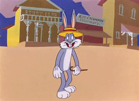 Bugs Bunny Looney Toons